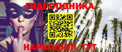 ешки Вязьма