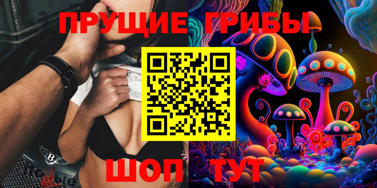 Павлово  Псилоцибиновые грибы прущие грибы  купить закладку  Вход с VPN 